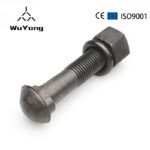 Carbon Steel Grade 4.8 8.8 10.9 Zinc Plated Rail Fish Bolt Plate And Nut Fishtail Fastener For The Tower Railway - Hebei Wuyang Fastener Manufacturing Co., Ltd.