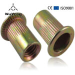 Refined Rivet Nuts - Hebei Wuyang Fastener Manufacturing Co., Ltd.
