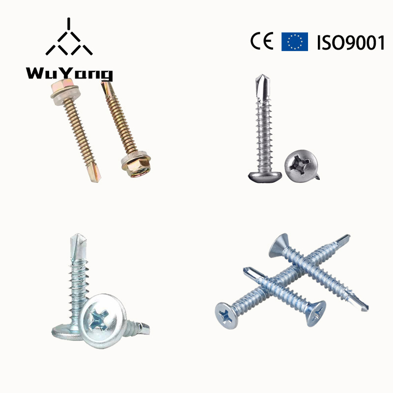 Drill tail screw